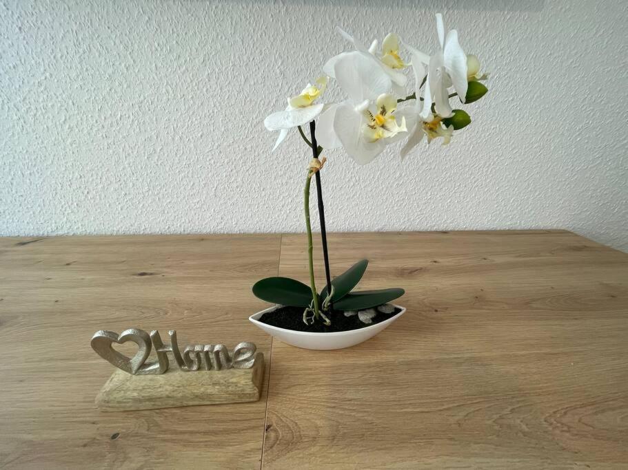 Lucky Stays Ls01 - Vollausstattung - Zentrum - Aufzug - Grosse Kueche - 2 Zimmer - Smart-Tv 马格德堡 外观 照片
